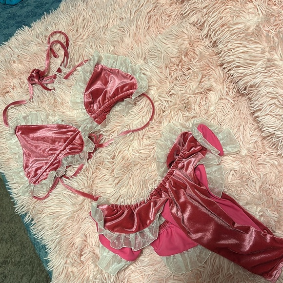 Fashion Brand Company Pink Velvet Bikini - Picture 2 of 3